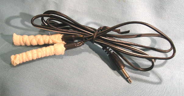 zoomelectrodes.jpg (28917 bytes)